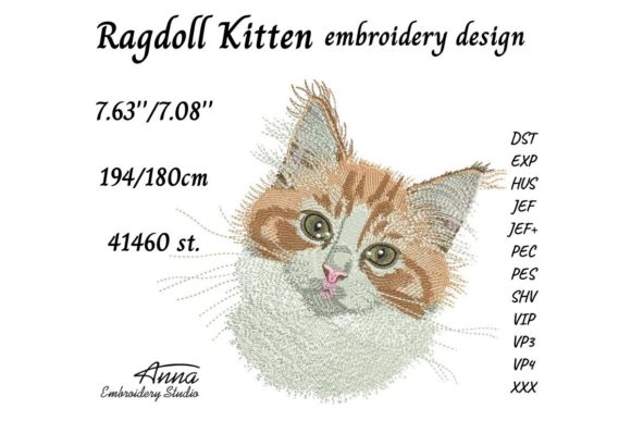 Ragdoll Kitten: A Designer's Review for Personalized Gifts